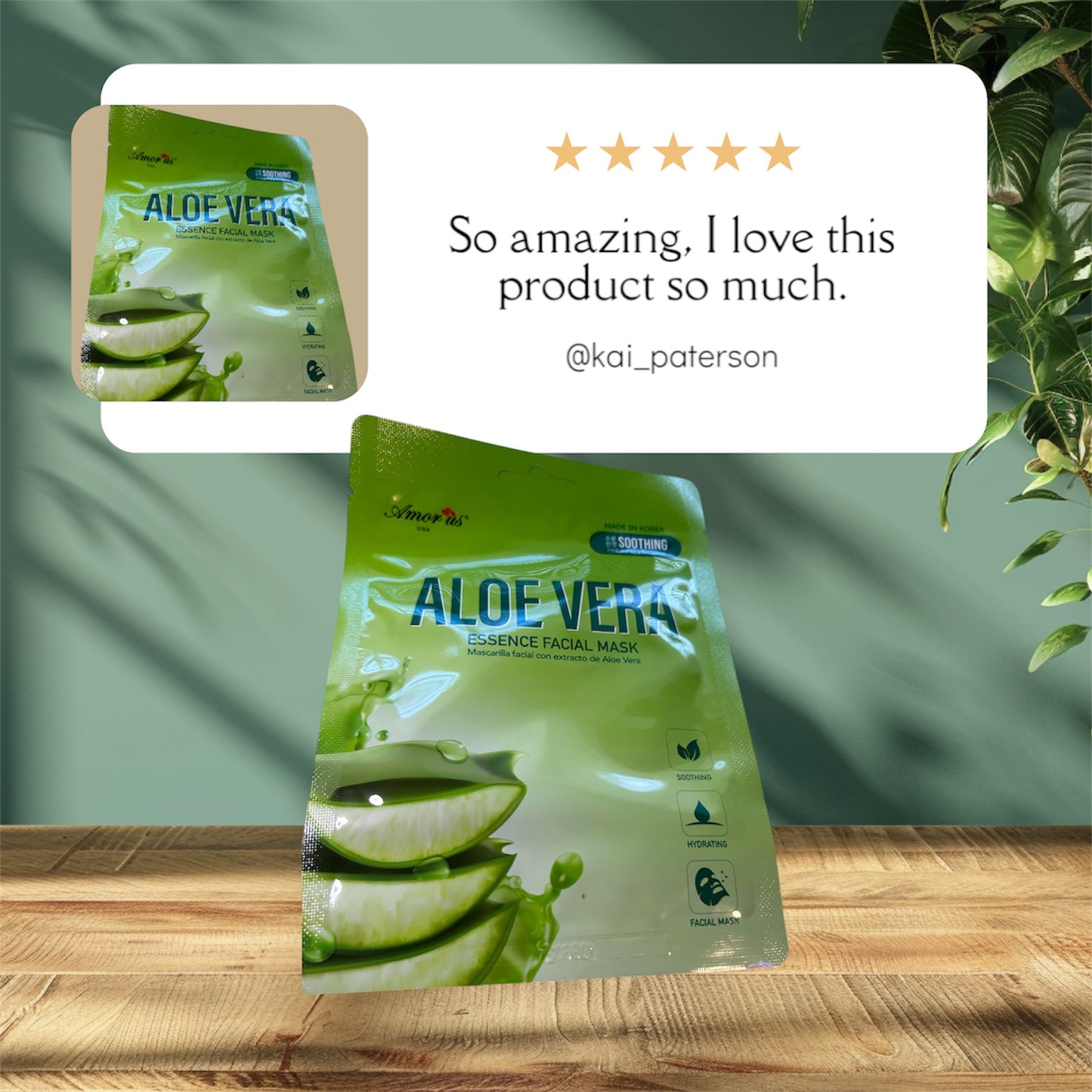 Aloe Vera Amor 💕Us