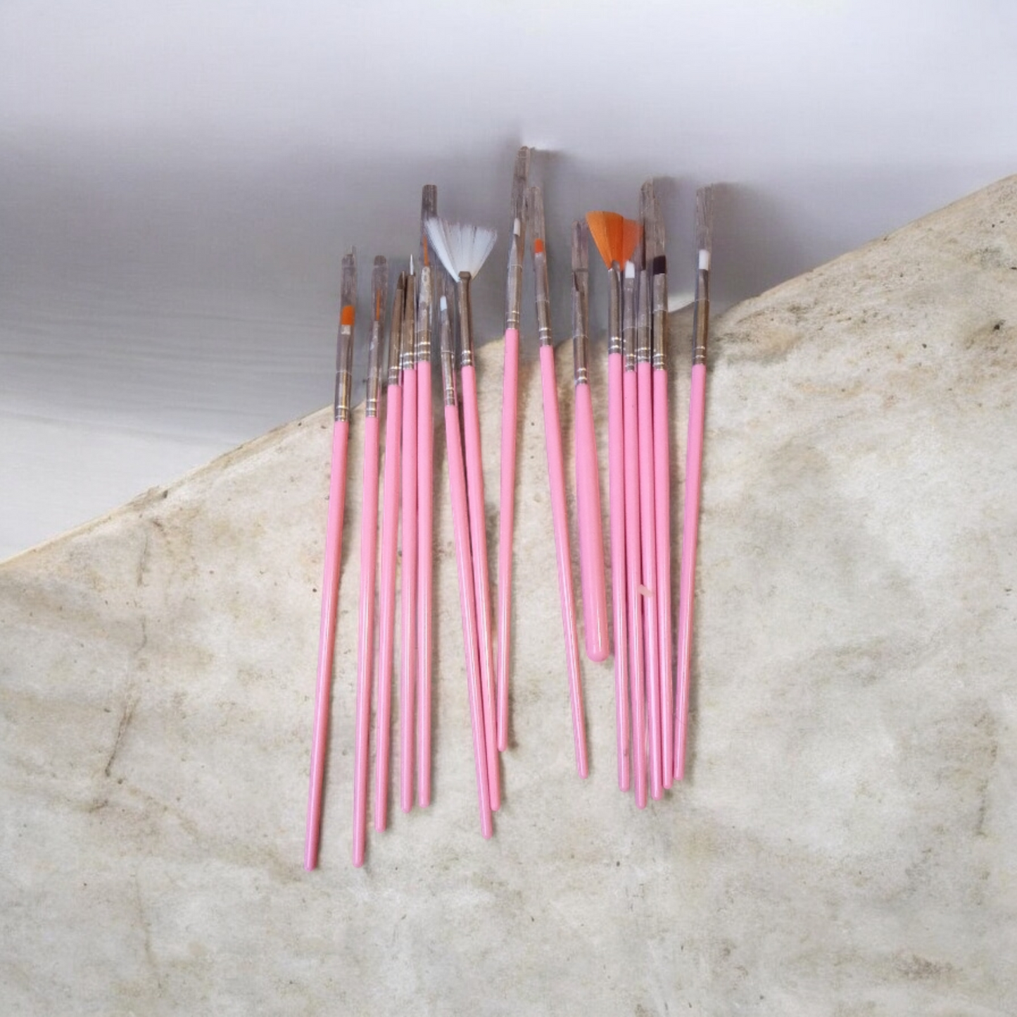 Nail , brush's and dotting tools,Pink leaf resin plate set
